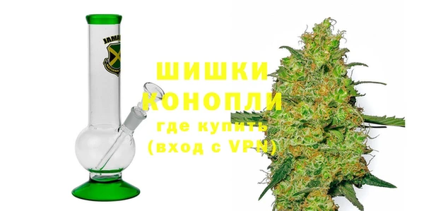 индика Бугульма