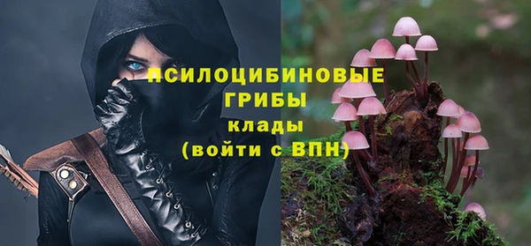 первитин Верхний Тагил