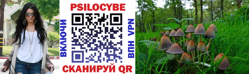 Псилоцибиновые грибы Psilocybe  Вологда 